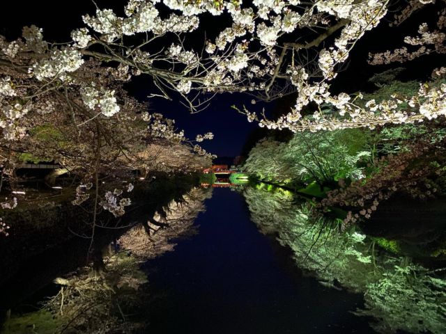 道場の三條かの記念館から徒歩5分。上杉神社の桜が見頃を迎えました。長く厳しい寒さの米沢の冬を越した桜の花はとてもきれいです。夜はライトアップされ、お堀の水面にも桜が映り幻想的です。今週は稽古日にお花見も楽しめます。

#米沢恒武館 #山形 #米沢 #剣道 #上杉神社 #上杉神社の桜 #桜のライトアップ #桜の名所 #三條かの記念館 #お花見 #kendo #sakura